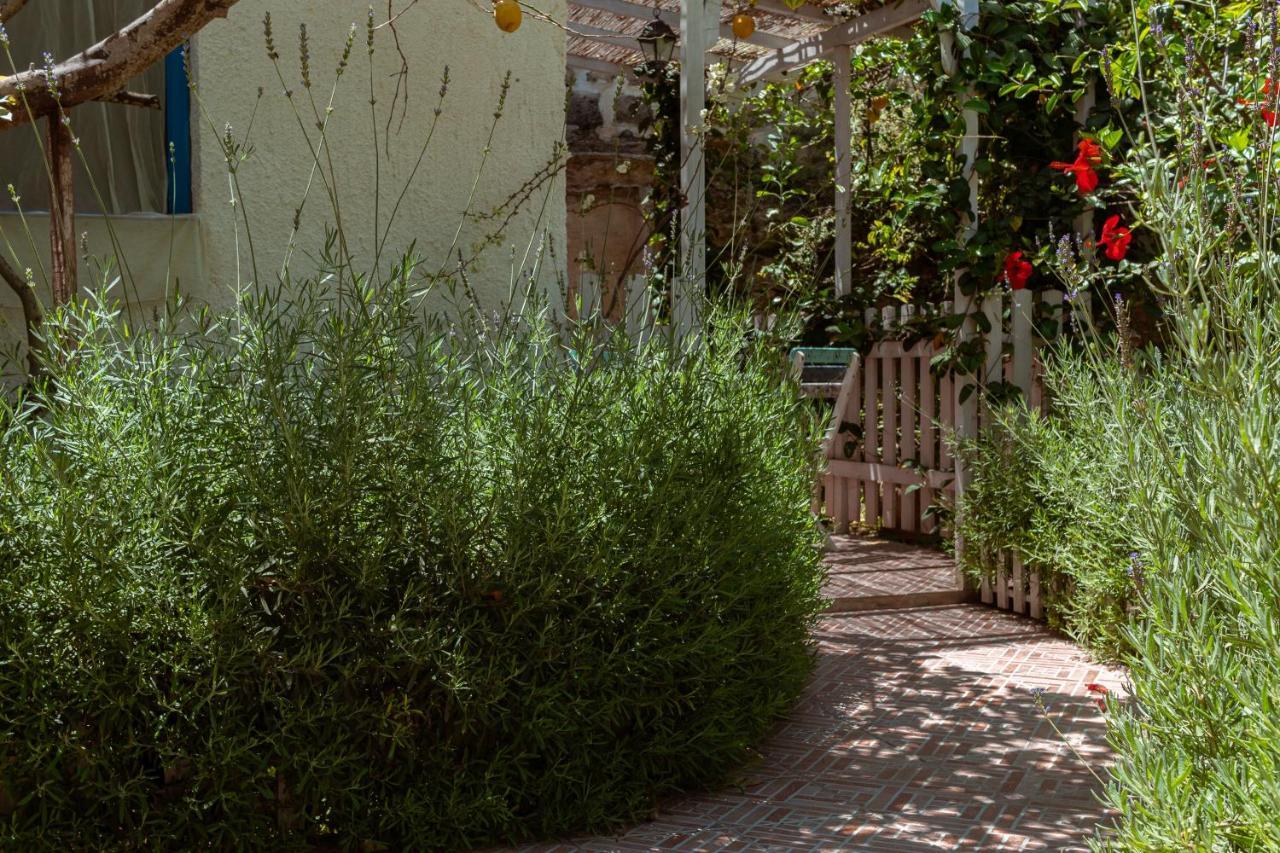 La Casa Del Limoneto