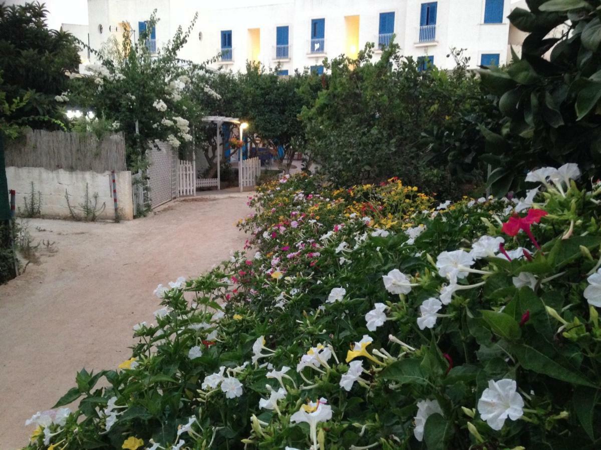 Bed & Breakfast La Casa Del Limoneto 3*