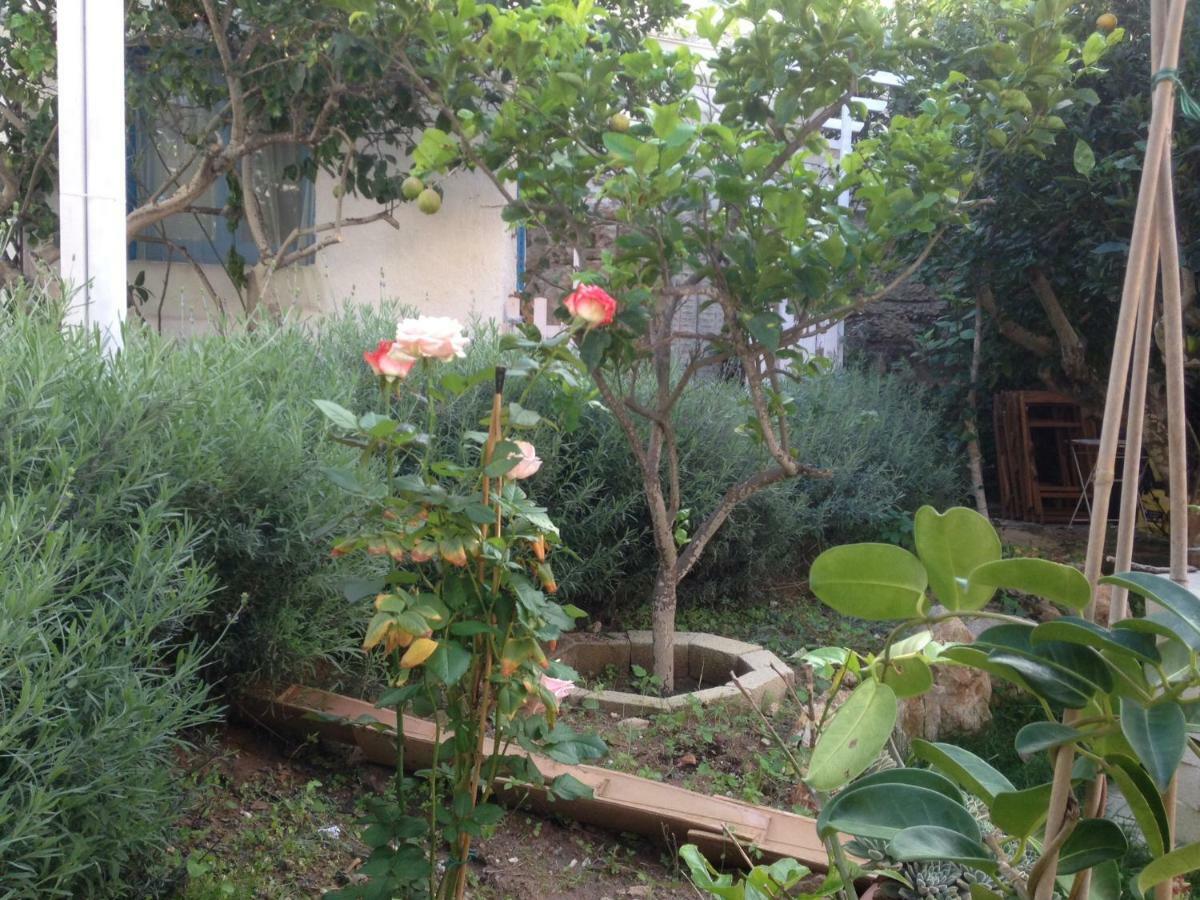 La Casa Del Limoneto Bed & Breakfast 3*