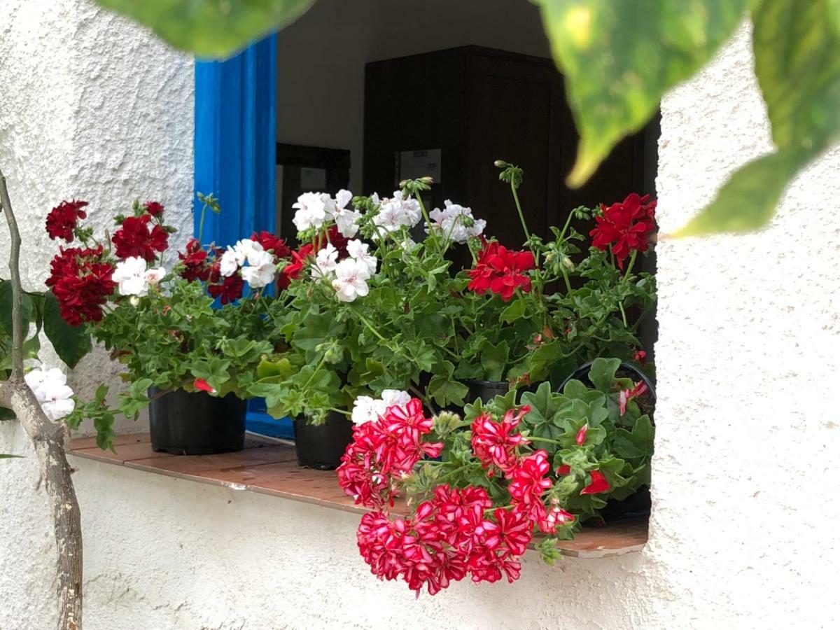 La Casa Del Limoneto Bed & Breakfast 3*