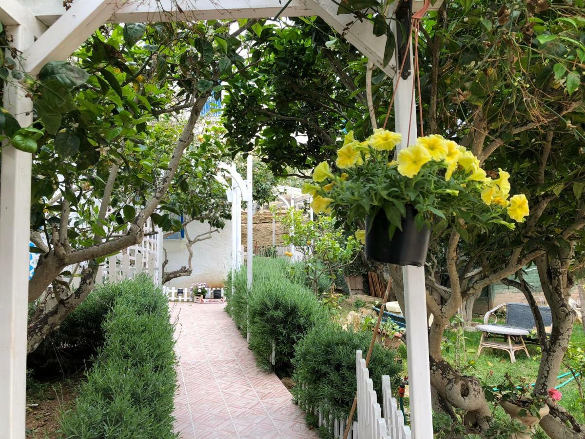 Bed & Breakfast La Casa Del Limoneto Favignana